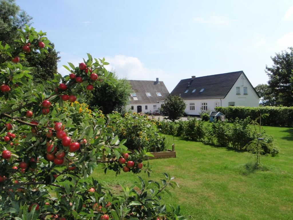Ruhetgaard Holiday Apartment Ærøskøbing Cameră foto